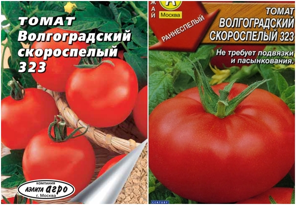 Pomidorų sėklos Volgograde ankstyvas nokinimas