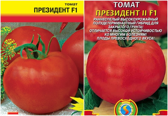 tomato seeds president
