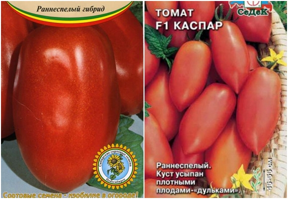 Caspar F1 tomaatti