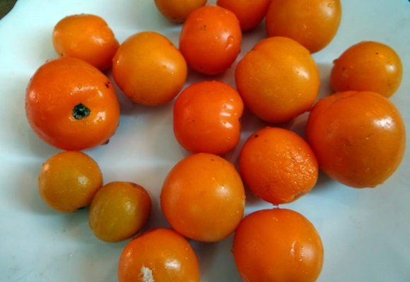 uiterlijk van mandarijn tomaat