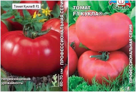 nasiona pomidora Doll F1