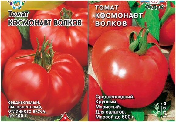 pomidorų sėklos Kosmonautas Volkovas