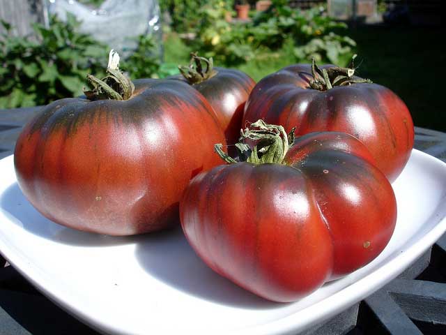 sort tomat på en tallerken