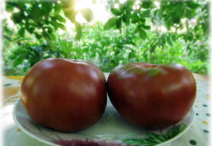 Kenmerken en beschrijving van tomatensoorten van de Gnome-tomatenserie, de opbrengst