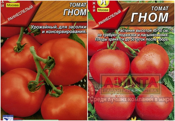 gnomo de semillas de tomate