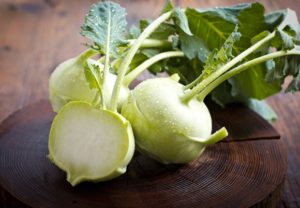 Growing and caring for Kohlrabi cabbage in the open field