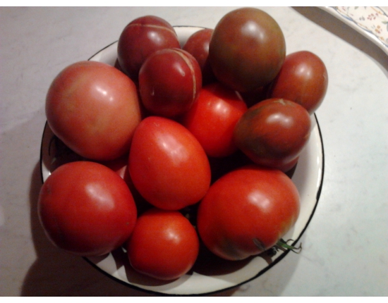 Tomates demidov en un plato