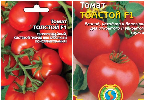 tomaatin siemenet paksu f1