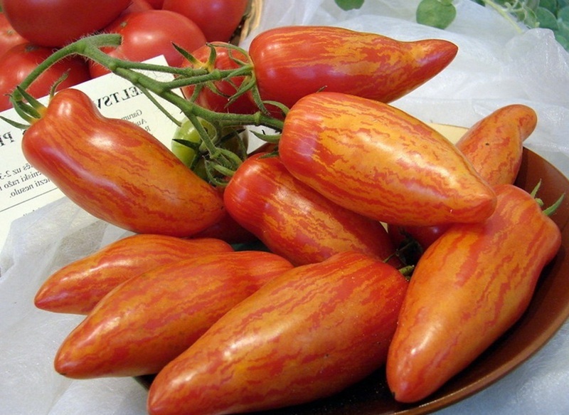 sarkano tomātu Maskavas delikatese