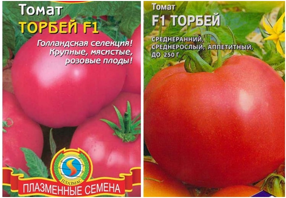 Tomatensamen torbey f1