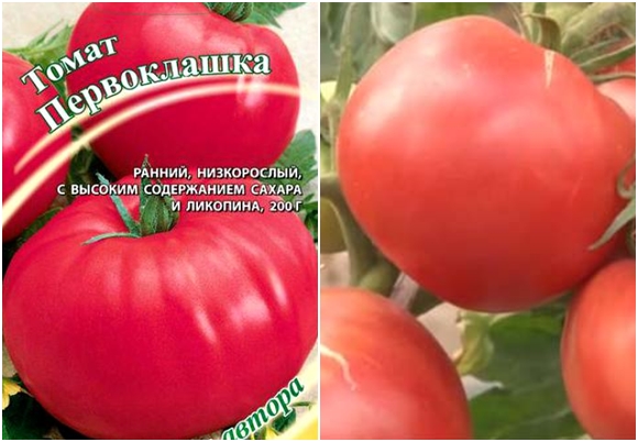tomaatin siemenet ensimmäisen luokan