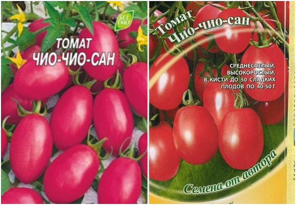 pomidorų sėklos chio chio san
