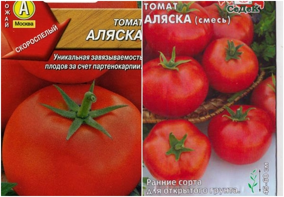 mga kamatis na tomato alaska