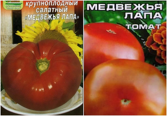 tomatfrön bär tass