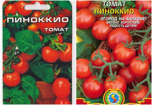 pinokio tomātu sēklas
