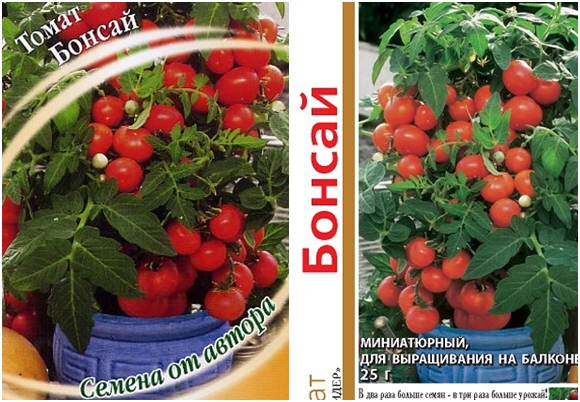 זרעי עגבניות בונסאי