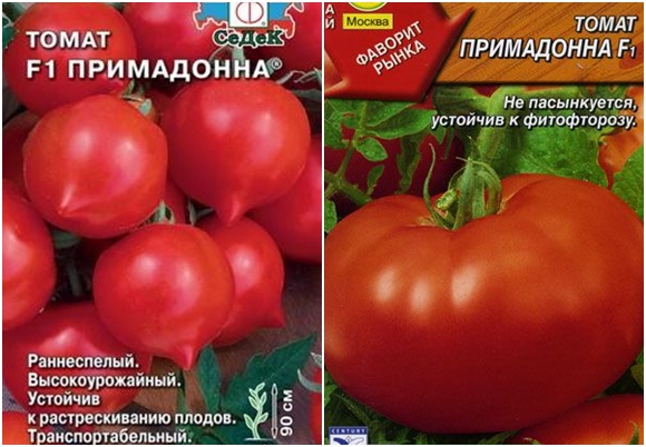 domates tohumları domates tohumları prima donna