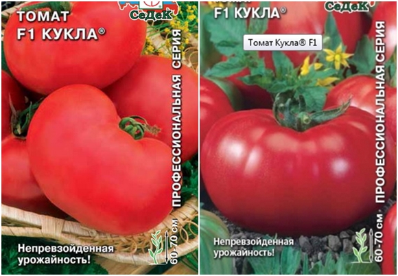 Tomatensamenpuppe f1