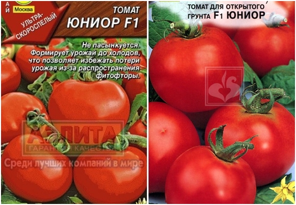 tomaat Junior F1