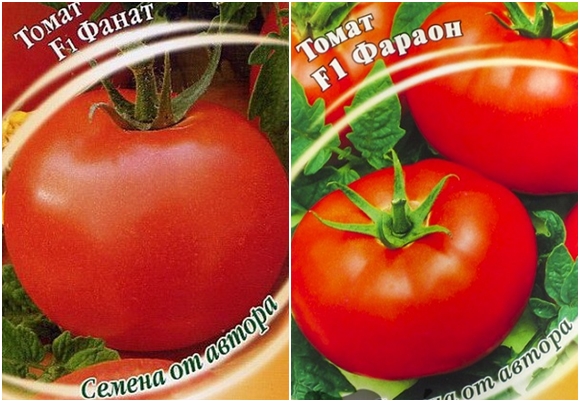 tomaatin siemenet farao F1