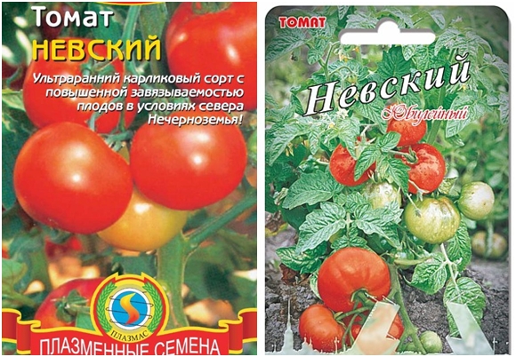 tomaatti Nevsky-siemenet