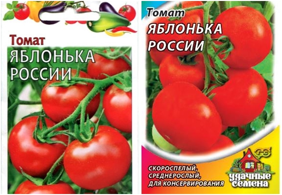 tomate Yablonka