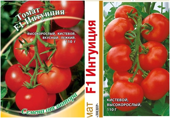 tomato seeds Intuition F1