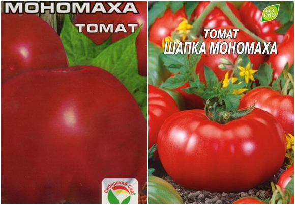 pomidorų sėklos Monomakh skrybėlė