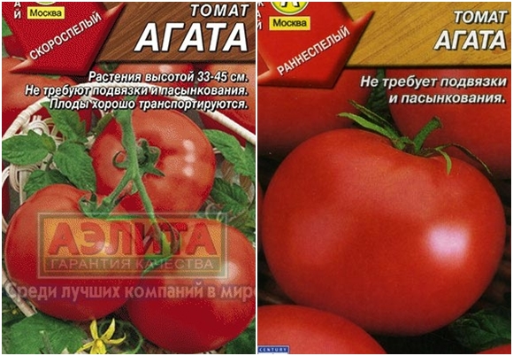 agato pomidorų sėklos