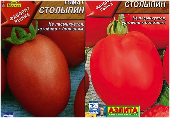 Tomatensamen Stolypin