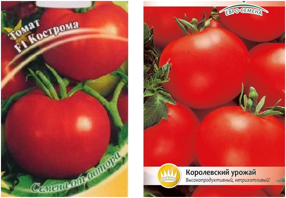 domates tohumları Kostroma F1