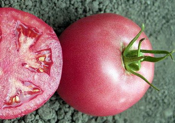 tomaatti vaaleanpunainen ainutlaatuinen sisällä