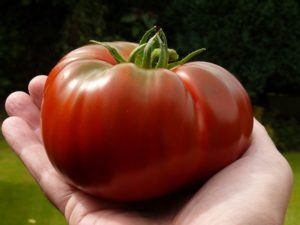 Características y descripción de la variedad de tomate Monomakh's Hat, su rendimiento.