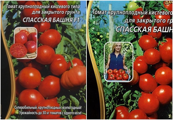 זרעי עגבניות מגדל spasskaya