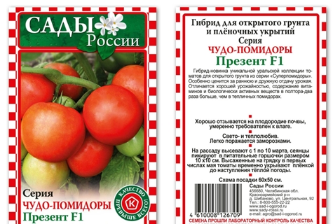 nasiona pomidorów Present F1