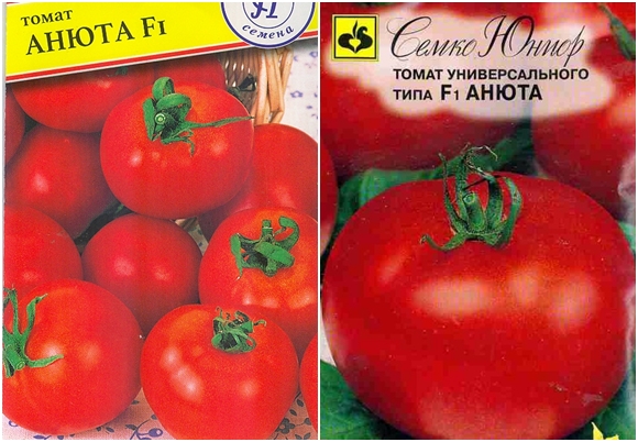 semillas de tomate anyuta