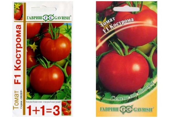 tomaatin siemenet kostroma
