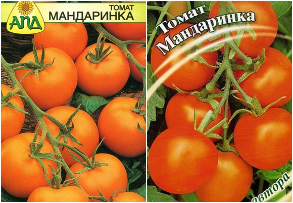 semillas de tomate mandarina