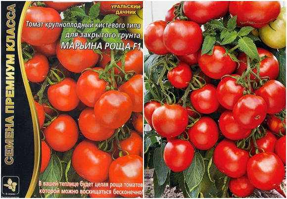 sjemenke rajčice rajčice Maryina Roshcha