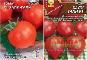 Egenskaber og beskrivelse af Hali Gali-tomatsorten, dens udbytte