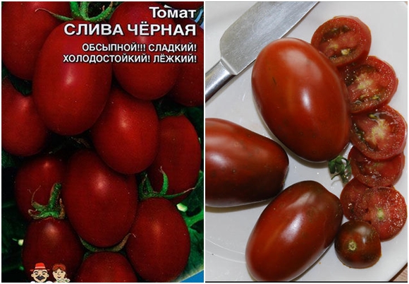 tomaatin siemenet luumu musta