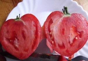 Egenskaber og beskrivelse af tomatsorter Kærlighedshjerte og rødt oliehjerte, deres produktivitet