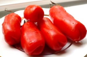 Characteristics and description of the tomato variety Auria (Manhood), its yield