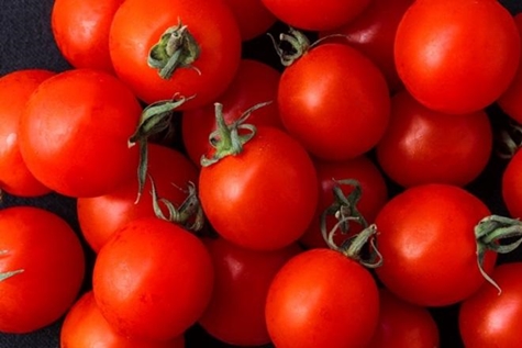 tomato betta