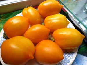 Obilježja i opis sorte rajčice Čudo svijeta, njegov prinos