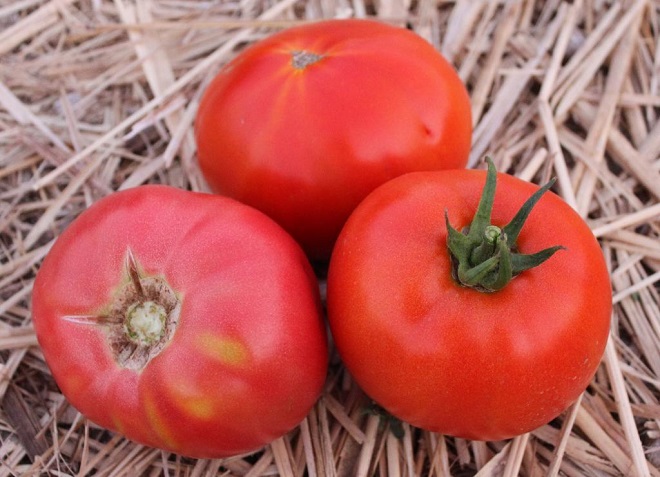 tomate roz roșu pe fân
