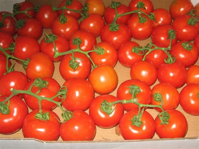 Sonnenaufgang Tomaten in einer Box