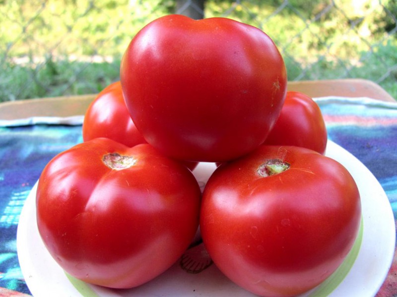 Ural F1 rajčice