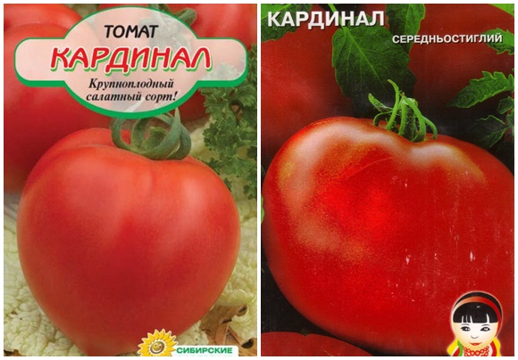 זרעי עגבניות קרדינל
