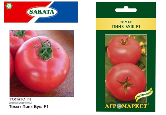 pomidorų sėklos rausvasis krūmas f1